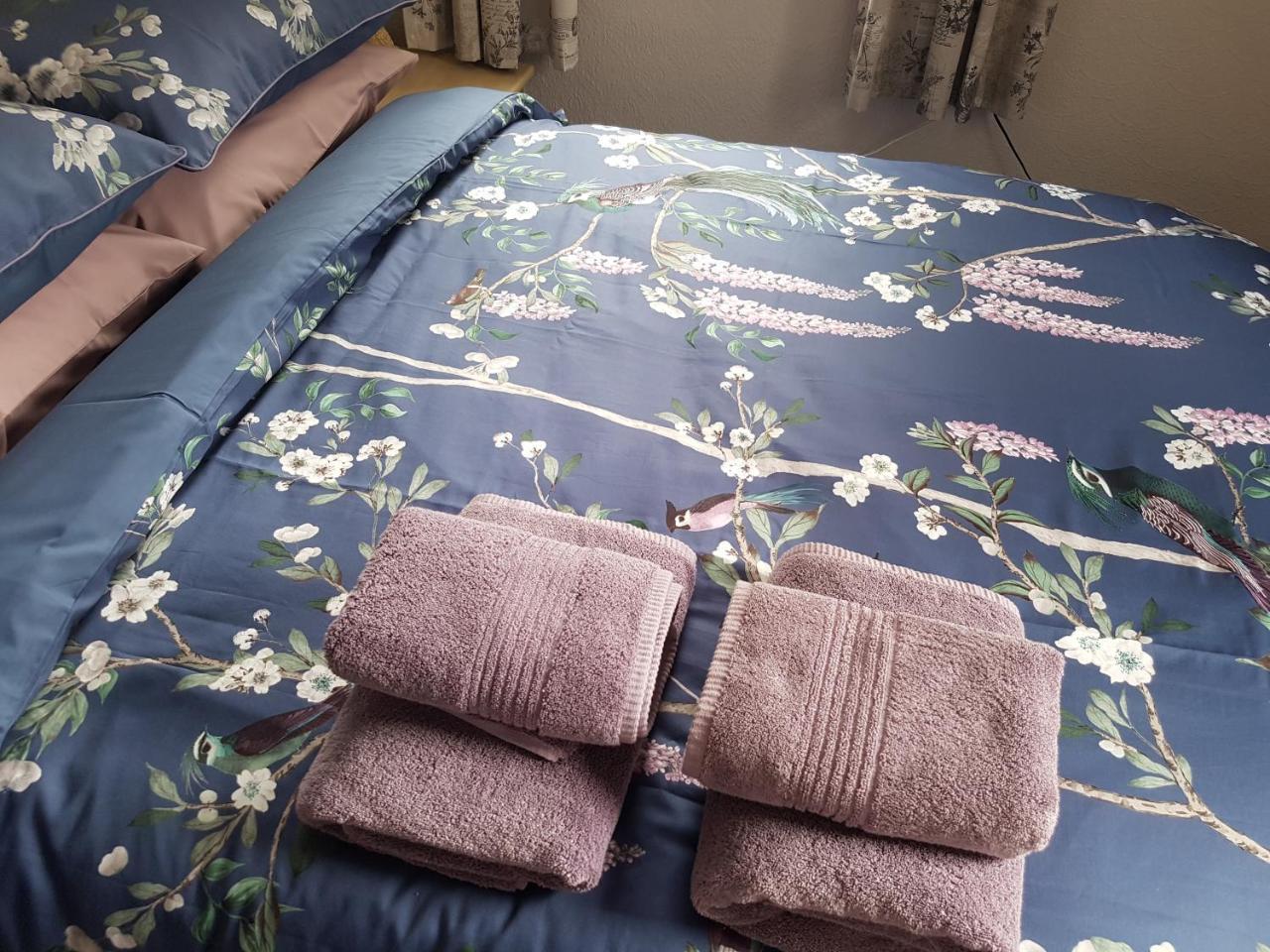 צ'סטר Alexandra Lodge Guest House מראה חיצוני תמונה